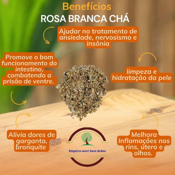 ROSA BRANCA FLOR PARA CH� - (ROSA CENTIFOLIA)